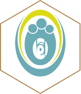 شرکت فروشگاه زنجیره ای اتکا